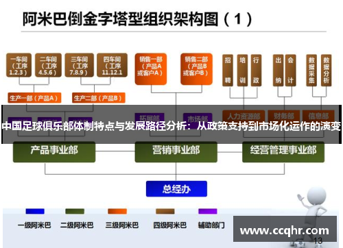 中国足球俱乐部体制特点与发展路径分析：从政策支持到市场化运作的演变